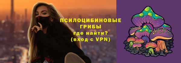 соль ск Надым