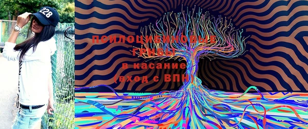 прущая мука Михайловск