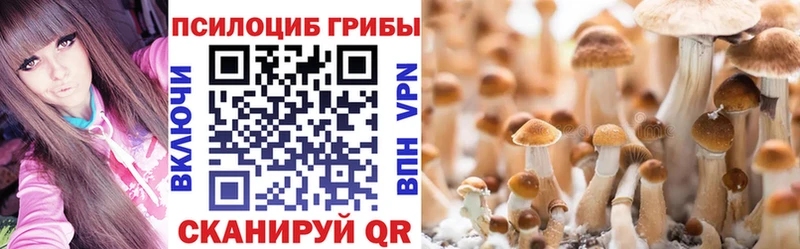 Псилоцибиновые грибы Magic Shrooms  Александровск-Сахалинский 